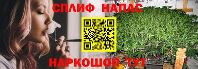 каннабис Гусиноозёрск