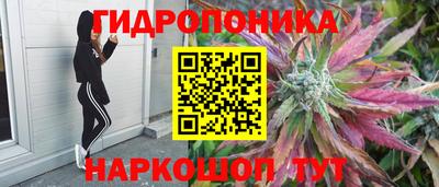 mdpv Донской