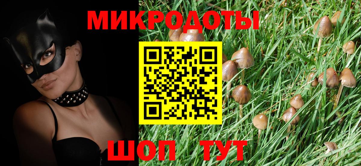 Мурино  Псилоцибиновые грибы мицелий  Вход с VPN 